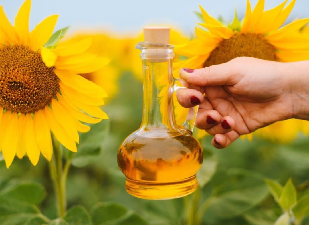 Sunflower Oil Image1