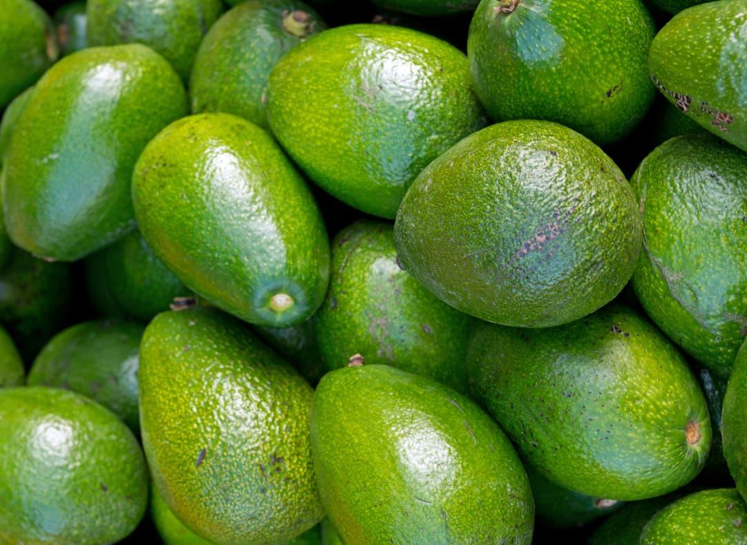 Avocado Image1