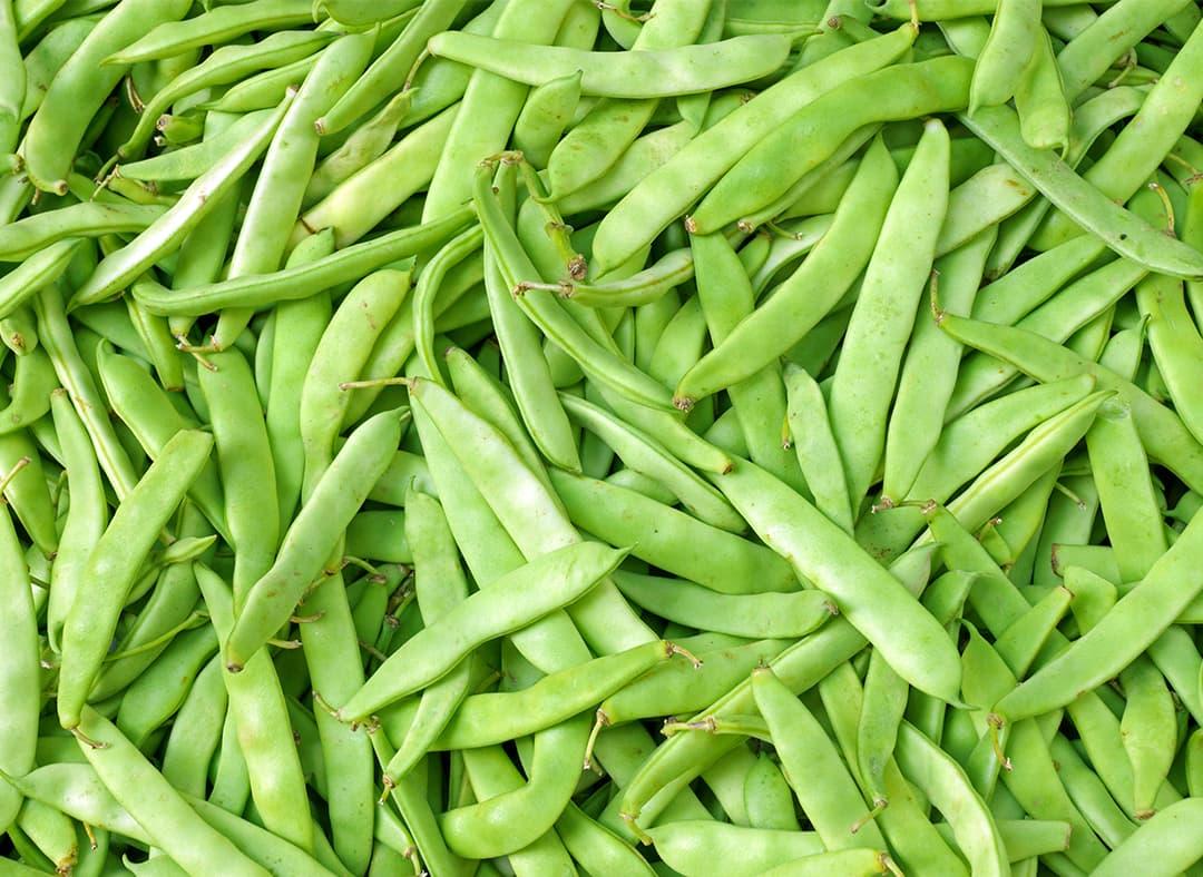 Beans Image1