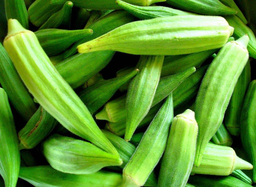 Okra Image1