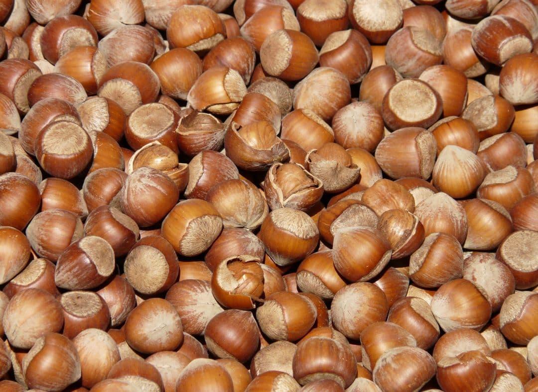 Hazelnut Image1