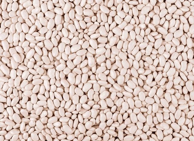 Dried Beans