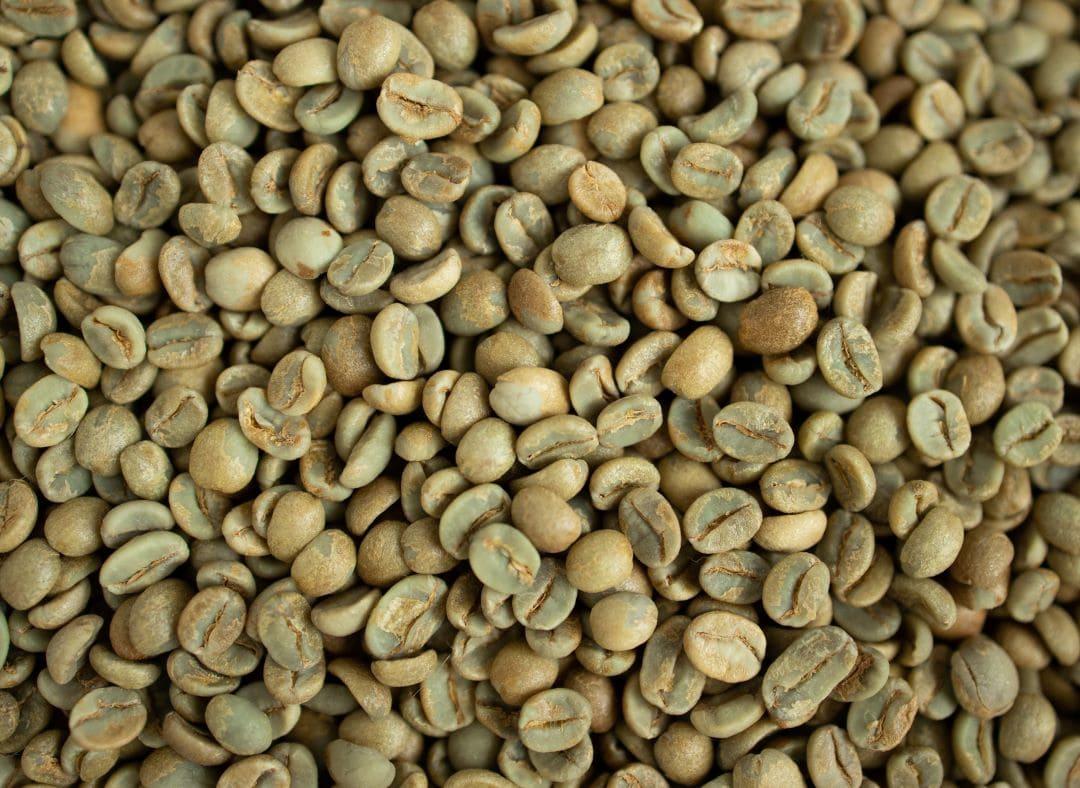 Grains de café vert