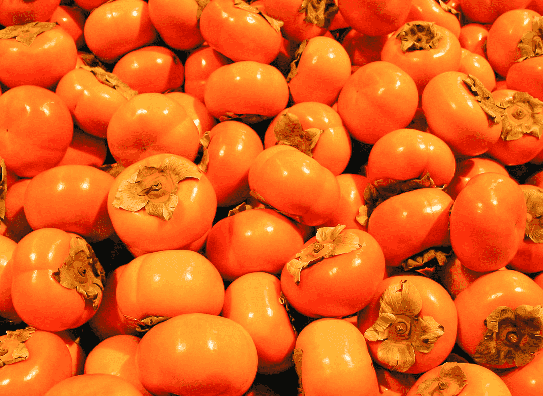 Persimmon Image1