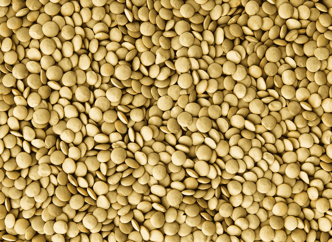 Green Lentils Image1