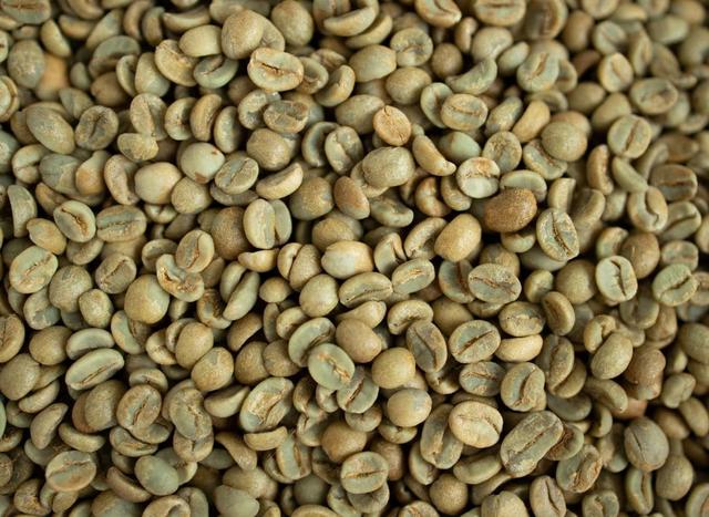 دانه‌های قهوه سبز
